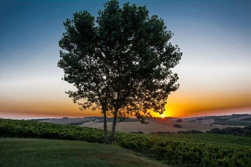 La Vita Nuova Appartements - Appart B&B Morro dʼAlba Dış mekan fotoğraf